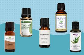 the 9 best places to essential oils