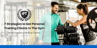 personal training clients in the gym
