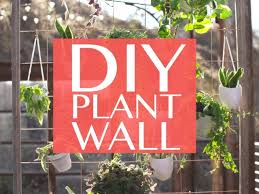 How To Make A Diy Privacy Plant Wall