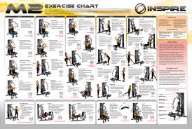 66 Unusual Total Gym Wall Chart Pdf