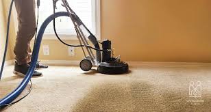 carpet cleaning spokane wa live clean