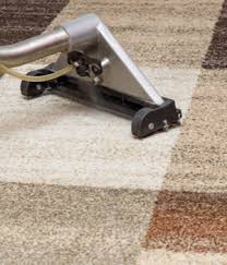 carpet cleaning market report size