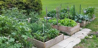 How To Install Raised Bed Gardens The