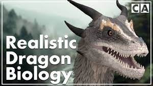 Draconology' Explained | Dragon Biology - YouTube