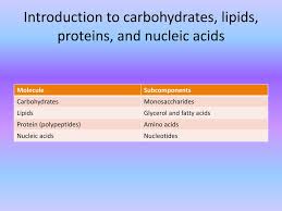 ppt topic 3 2 carbohydrates lipids