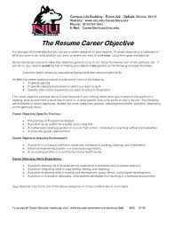 Psychology Internship Resume Objective Hr Recruiting Resumes