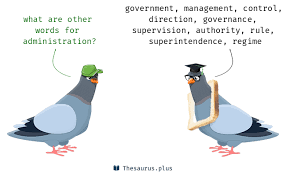 administration synonyms similar words