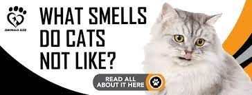 what smells do cats not like
