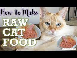 homemade cat food for healthy cats