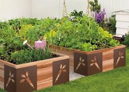 Raised Vegetable Garden Clever And