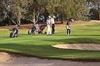 Reds, Whites, and Greens: Wine and Golf in South Australia - ExpatGo