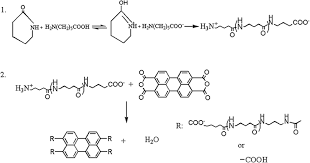 Synthesis Of Pa6 Ptcda Composite