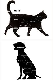 Cats Vs Dogs Petting Diagram Cat Vs Dog Pets Dog Cat