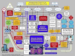 Your New Healthcare System Chart The Conservativist Corner