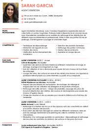 exemple de cv agent e à domicile et