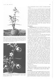 Studies on serpentine flora: A new species of Brachystelma ...