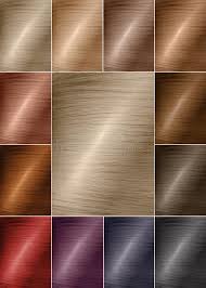 Color Chart For Tints Hair Color Palette With A Wide Range
