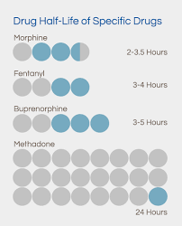 The Correlation Between Drug Half Life And Addiction