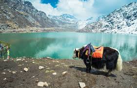 21 sikkim tour packages starting 17