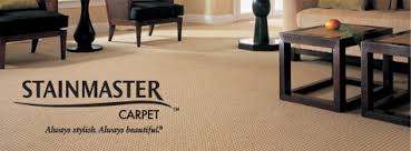 stainmaster carpet fort collins