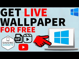 how to get a live wallpaper on pc or