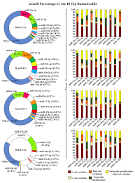 Isomirs Of The 10 Most Abundant Mirnas The Donut Charts On