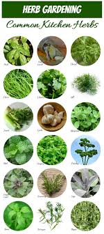 Sep 24, 2011 · it takes some work and is not 100% effective because, as you noted, new seeds arrive all the time. Herb Identification How To Identify Herbs Free Herb Gardening Printable