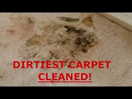 lee carpet cleaning you