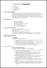 Information technology is a field that has lots of job openings, so how do you get the attention of the. Free Entry Level Sales Resume Examples Resume Now