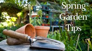 Spring Gardening Tips Life Naturally