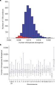 human genome