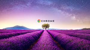 Quote, purple background, purple sky, vaporwave, golden aesthetics. 14 Anime Wallpaper For Chromebook Aesthetic Pictures