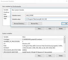 how to set java home in windows 11 10