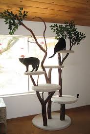 Cat Trees And Climbers To Make Your Pet