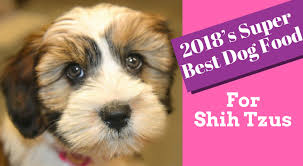 2019s Super Best Dog Food For Shih Tzus Never Let Your Dog