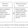 Theory of Social Learning