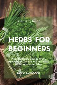 The 10 Best Herbs To Grow For Beginners