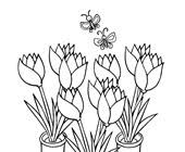 Spring coloring pages for preschool, kindergarten and elementary school children to print and color. Spring Coloring Pages Print Spring Pictures To Color All Kids Network