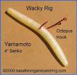 Bass Fishing Tip: Use Zip Ties for Wacky Rigging Senkos Field