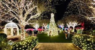 florida botanical gardens christmas lights
