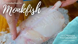 an introduction to monkfish you