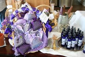 địa chỉ mua hoa lavender tươi ở đâu,mình có bán nè - 12