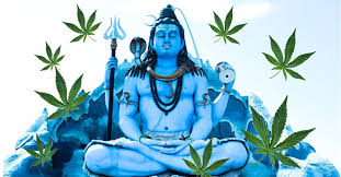 lord shiva of bhang dragon cans