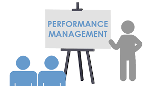 Historical developments in performance management. People Performance Management Performance Management Process
