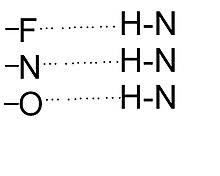 Structural Biochemistry Chemical Bonding Hydrogen Bonds