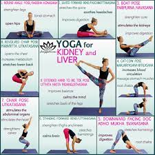 yoga for kidney and liver 9