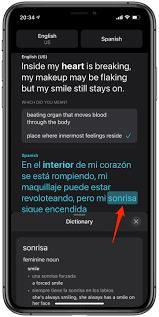 foreign words in translate app on iphone