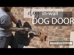 Installing An In Wall Dog Door