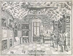 cabinets of curiosities and the origin