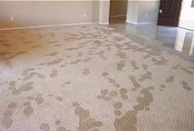 how to dry a wet carpet paul davis